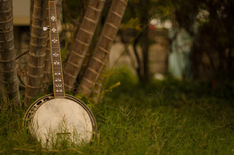How to Make a Banjo Out of Recycled Materials Mother Earth News